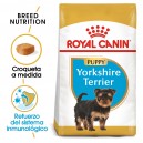 Royal Canin Yorkshire Terrier Puppy