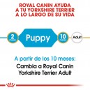 Royal Canin Yorkshire Terrier Puppy
