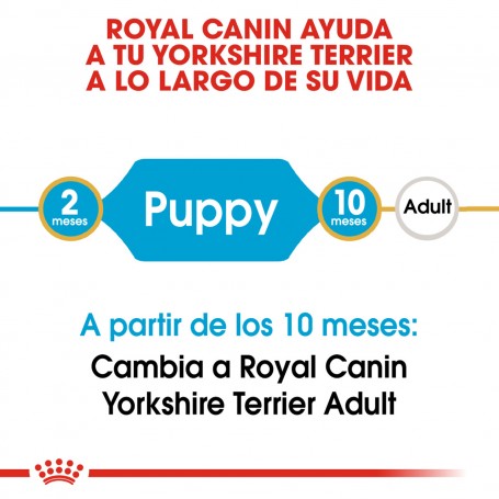 Royal Canin Yorkshire Terrier Puppy