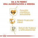 Royal Canin Rottweiler