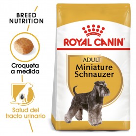 Royal Canin Miniature Schnauzer