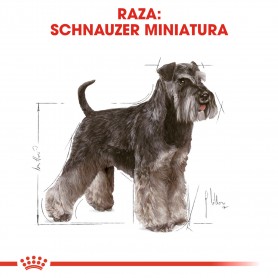 Royal Canin Miniature Schnauzer Adult pienso para perro adulto de raza