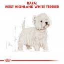 Royal Canin West Highland White Terrier