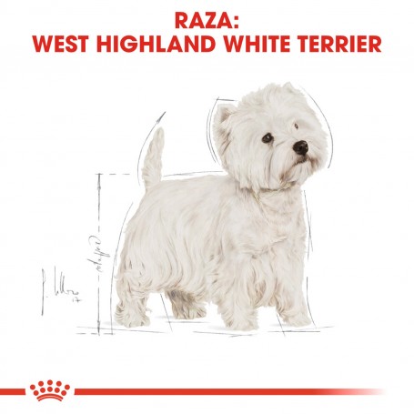 Royal Canin West Highland White Terrier