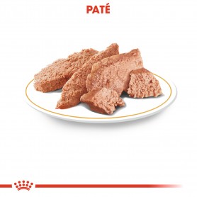 Royal Canin Chihuahua comida húmeda para perro adulto de raza 