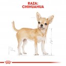 Pouch Royal Canin Chihuahua