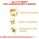 Pouch Royal Canin Chihuahua