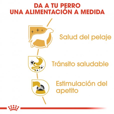 Pouch Royal Canin Chihuahua