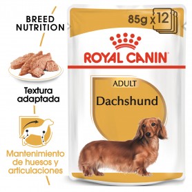 Royal Canin Dachsund comida húmeda para perro adulto salchicha
