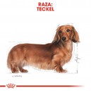 Pouch Royal Canin Dachshund Teckel