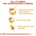 Pouch Royal Canin Dachshund Teckel