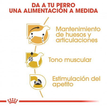 Pouch Royal Canin Dachshund Teckel