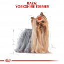 Pouch Royal Canin Yorkshire Terrier