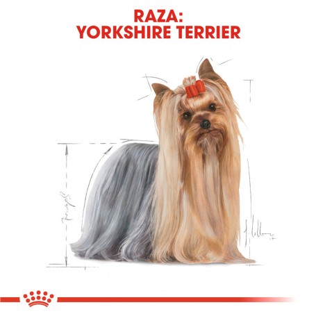 Pouch Royal Canin Yorkshire Terrier