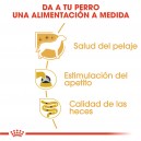 Pouch Royal Canin Yorkshire Terrier