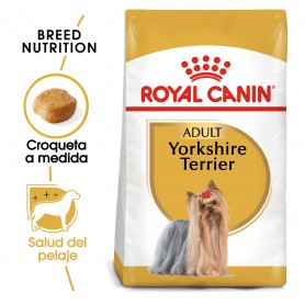 Royal Canin Yorkshire Terrier