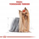 Royal Canin Yorkshire Terrier