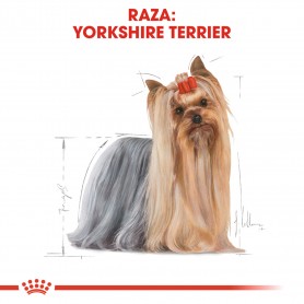 Royal Canin Yorkshire Terrier Adult pienso para perro adulto de raza