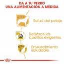 Royal Canin Yorkshire Terrier