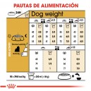 Royal Canin Yorkshire Terrier