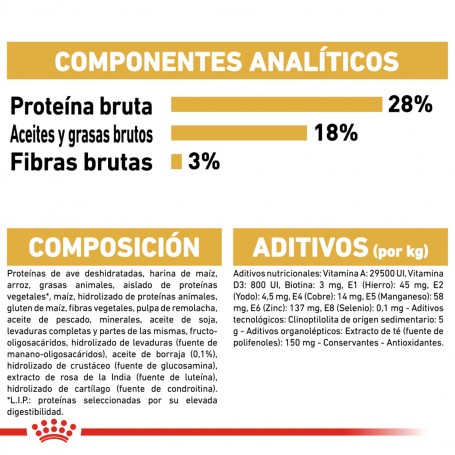 Royal Canin Yorkshire Terrier