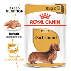 Royal Canin Dachsund comida húmeda para perro adulto salchicha