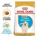 Royal Canin Golden Retriever Puppy