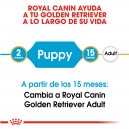Royal Canin Golden Retriever Puppy