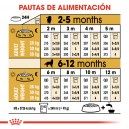 Royal Canin Golden Retriever Puppy