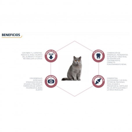 Advance Sterilized Senior