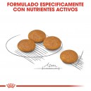 Royal Canin Mini Dermacomfort