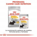 Royal Canin Mini Dermacomfort