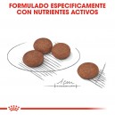 Royal Canin Mini Digestive Care