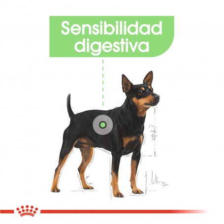 Royal Canin Mini Digestive Care