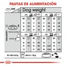 Royal Canin Mini Digestive Care