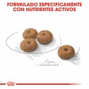 Royal Canin Mini Sterilised