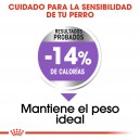 Royal Canin Mini Sterilised