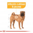 Royal Canin Medium Dermacomfort