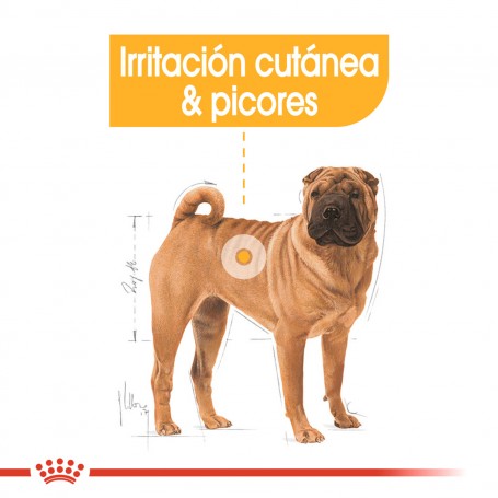 Royal Canin Medium Dermacomfort