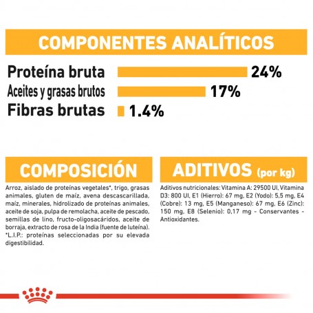 Royal Canin Medium Dermacomfort