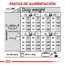 Royal Canin Medium Dermacomfort