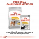 Royal Canin Medium Dermacomfort