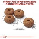 Royal Canin Medium Sterilised