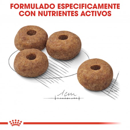 Royal Canin Medium Sterilised