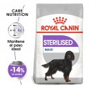 Royal Canin Maxi Sterilised