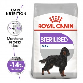 Royal Canin Maxi Sterilised