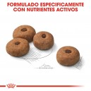 Royal Canin Maxi Sterilised
