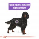 Royal Canin Maxi Sterilised