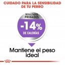 Royal Canin Maxi Sterilised