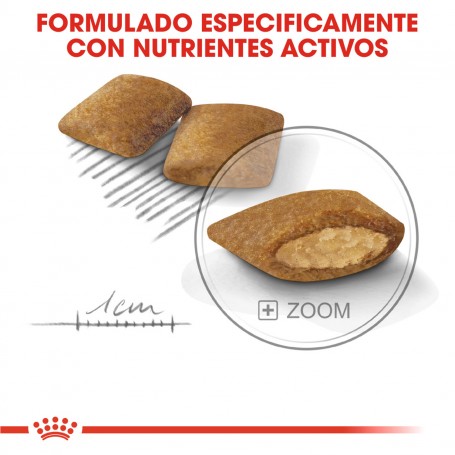 Royal Canin Mini Exigent